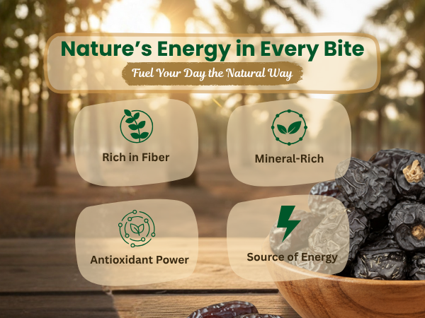 Organic Habits Premium Ajwa Dates| 100% Natural Dry Fruit | Soft & Delightful, Fiber & Mineral-Rich | No Added Sugar, Preservative-Free | Ideal for Snacking, Fasting & Healthy Recipes