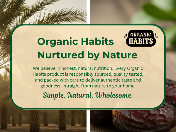 Organic Habits Premium Ajwa Dates| 100% Natural Dry Fruit | Soft & Delightful, Fiber & Mineral-Rich | No Added Sugar, Preservative-Free | Ideal for Snacking, Fasting & Healthy Recipes